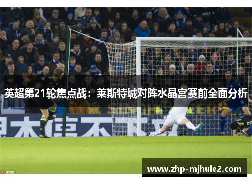 英超第21轮焦点战：莱斯特城对阵水晶宫赛前全面分析