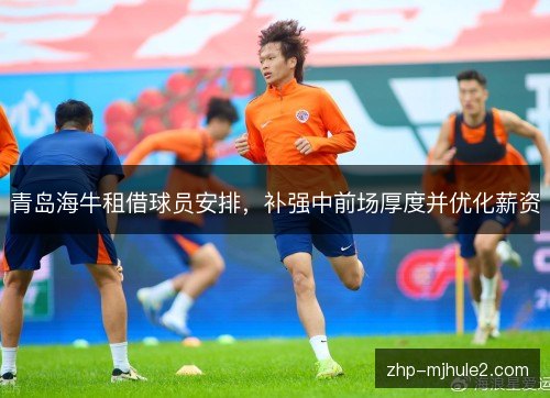 青岛海牛租借球员安排，补强中前场厚度并优化薪资